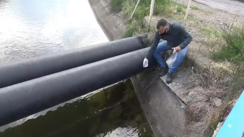 Sındırgı’da aylardır kapalı olan kafeyi kurbağalar bastı
