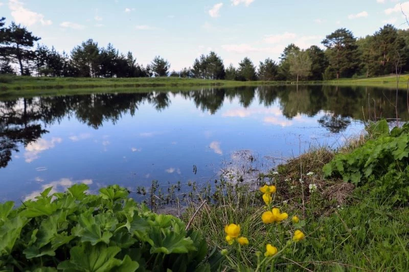 Bir zamanlar atların serinletildiği göl turizme kazandırılmayı bekliyor
