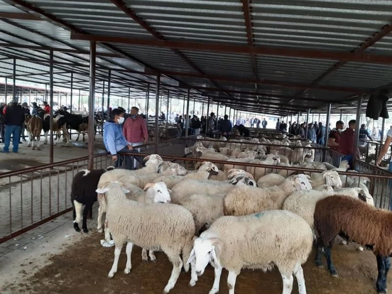Her türlü önlem ve uyarıya rağmen sosyal mesafeyi aldırış eden olmadı
