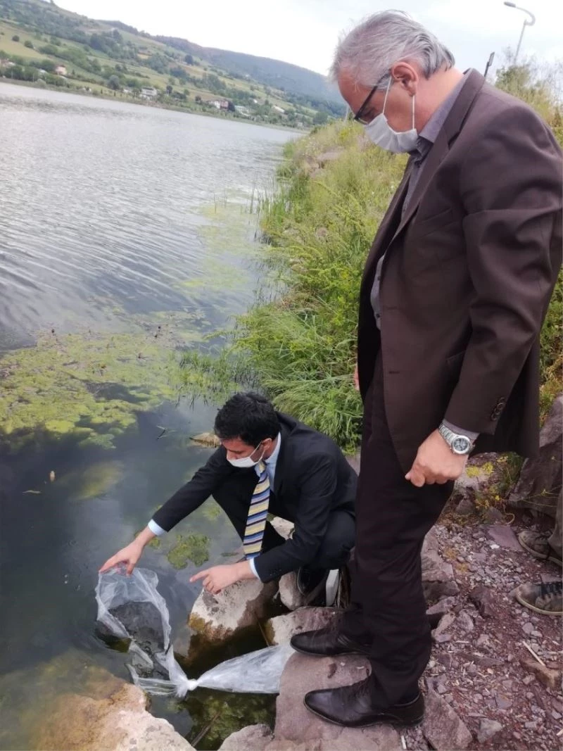 Kocaeli göletlerine 45 bin sazan yavrusu bırakıldı
