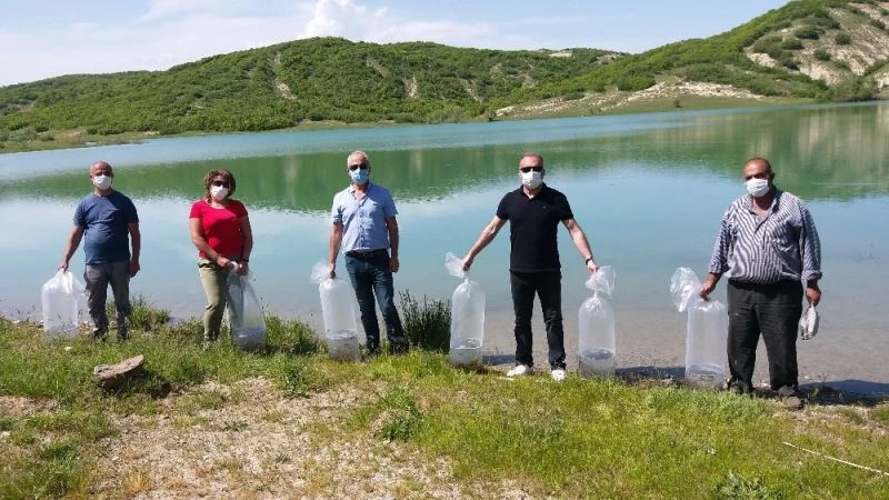 Günboğazı göletine 40 bin yavru sazan bırakıldı
