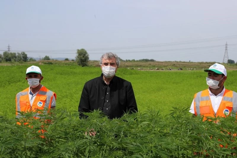 Başkan Yüce: “Kenevir avantajı çok olan milli bir hazinedir”
