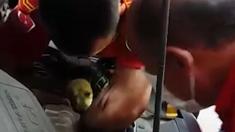 Otomobilin motorunda sıkışan köpeği itfaiye kurtardı
