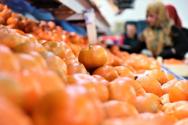 Narenciye ihracatındaki artış sektör temsilcilerinin yüzünü güldürdü