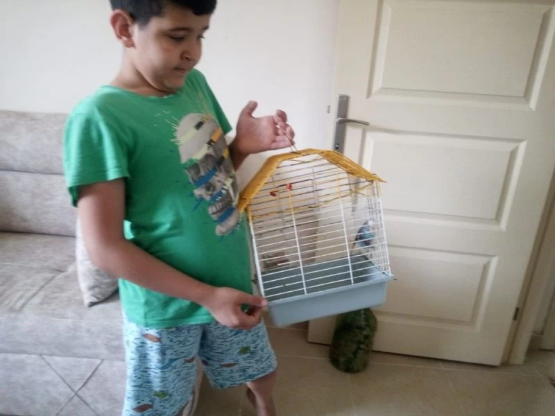 Muhabbet kuşunu kedinin ağzından aldı
