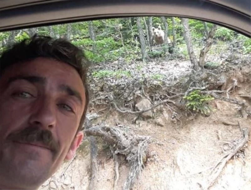 Arabesk müziği beğenmeyen ayı arkasını dönüp gitti
