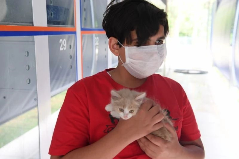 Yavru kedi Işık, kanalizasyondan kurtulup sıcak yuvaya kavuştu
