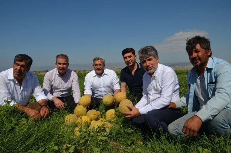 Milletvekili Yayman: “Kırıkhan kavununun coğrafi işaretini almak için gerekli müracaatımızı yaptık”
