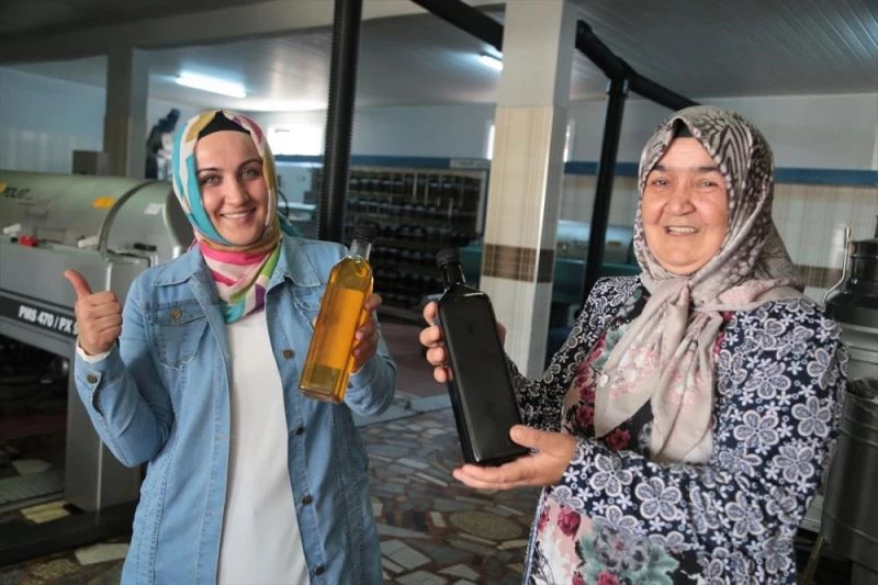 Zeytinyağı üreticisi gelin kaynana hedef büyüttü