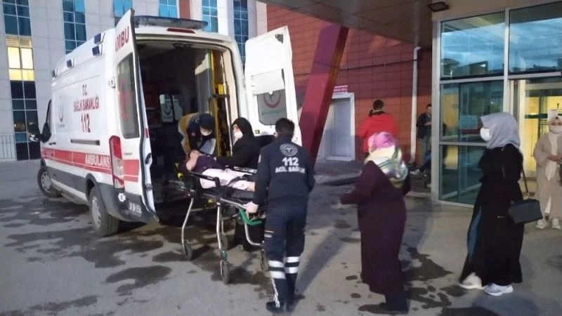 Yedikleri bitkiden zehirlenen 10 kişi tedavi altına alındı
