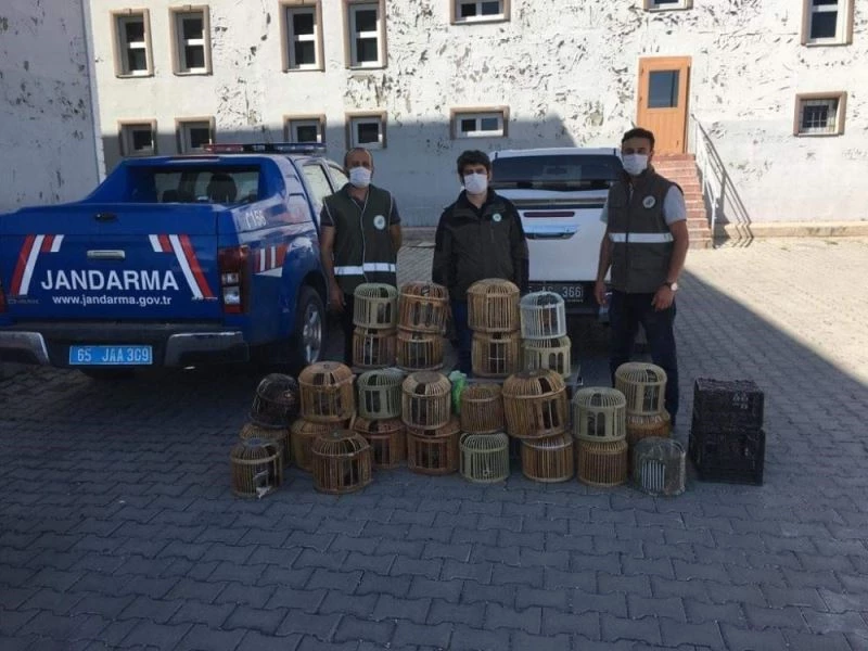 Erciş’te kaçak avlanmış 29 keklik ele geçirildi
