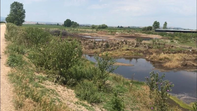 Çevreye kamyonla tavuk pisliği döken şahsa 88 bin 500 lira ceza
