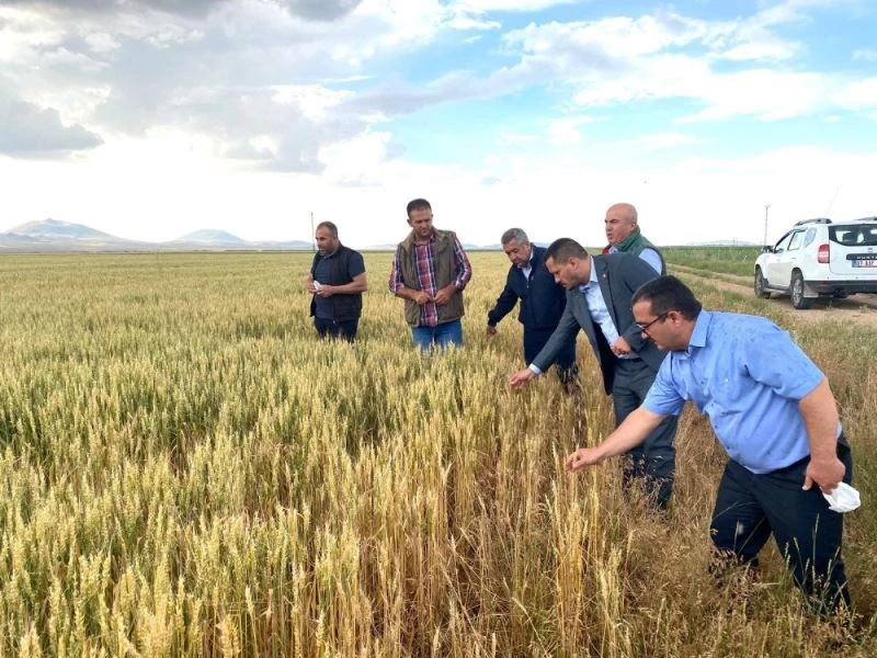 AK Parti Karaman Milletvekili Eser, dolu hasarını yerinde inceledi
