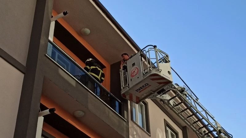 Tıp öğrencisi kediyi kalp masajı ve suni teneffüsle hayata döndürmeye çalıştı
