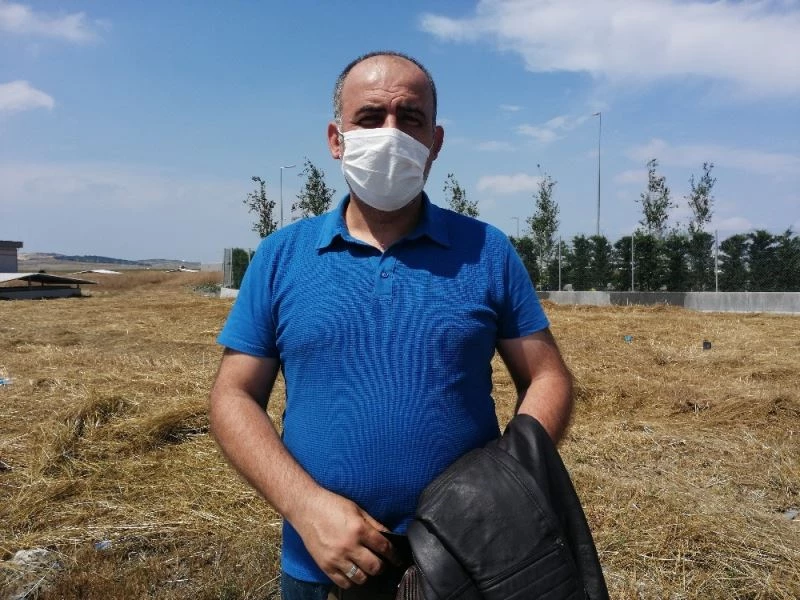 İstanbul’da şaşırtan görüntü, otoban kenarında karaca görüntülendi
