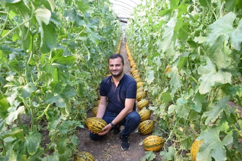 Kavunlarını simetrik şekilde sıraladığı görüntüler sosyal medyada ilgi gördü
