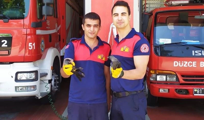 Ayakları çatıya sıkışan iki kargayı itfaiye ekipleri özgürlüklerine kavuşturdu
