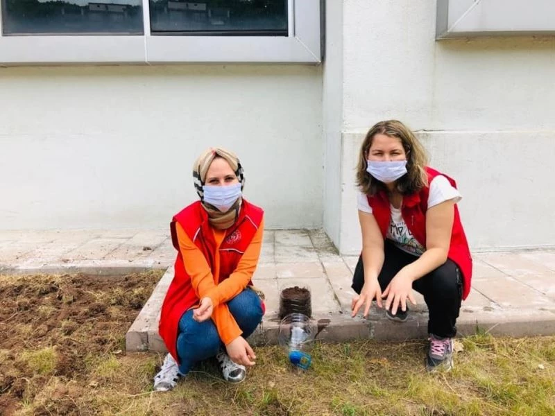 Pet şişeden saksı yapıp, tohum ektiler
