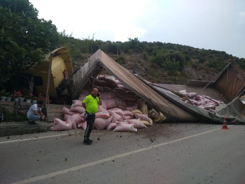 Freni boşalan tır kümesin üzerine devrildi, 7 tavuk telef oldu
