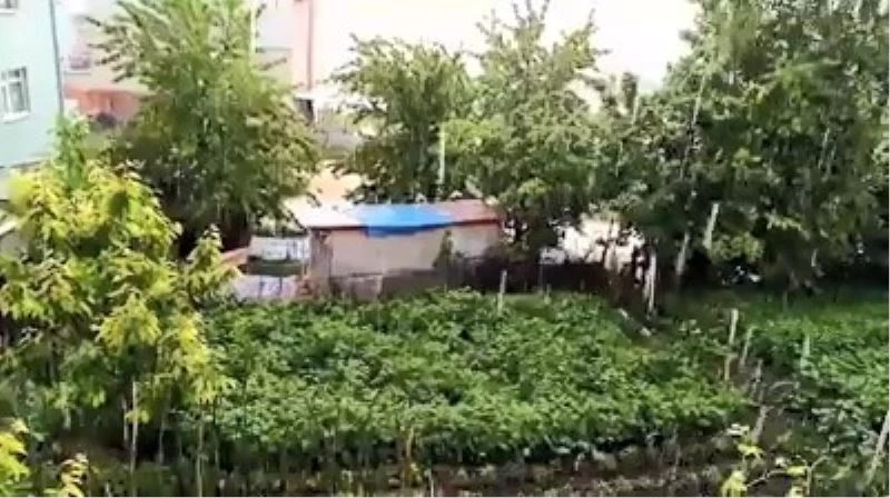 Dolu yağışı Bursa’nın dağ yöresini perişan etti
