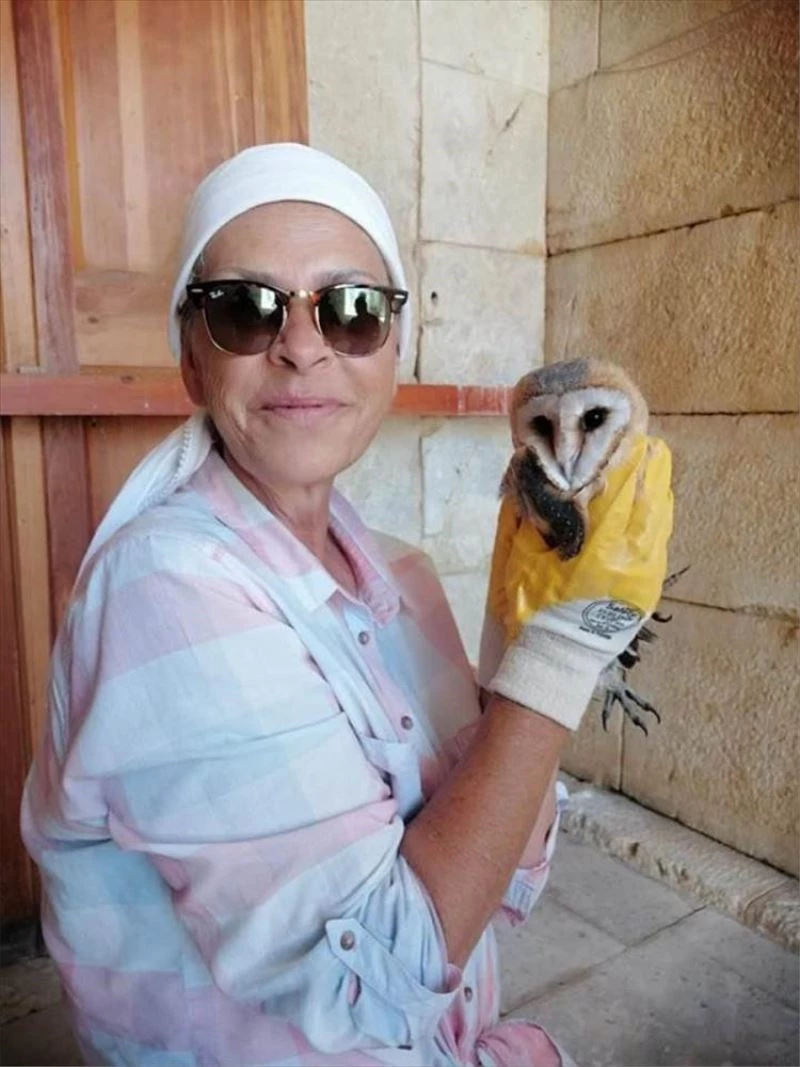 Yuvadan düşen baykuş yavrusuna, Patara kazı ekibi sahip çıktı