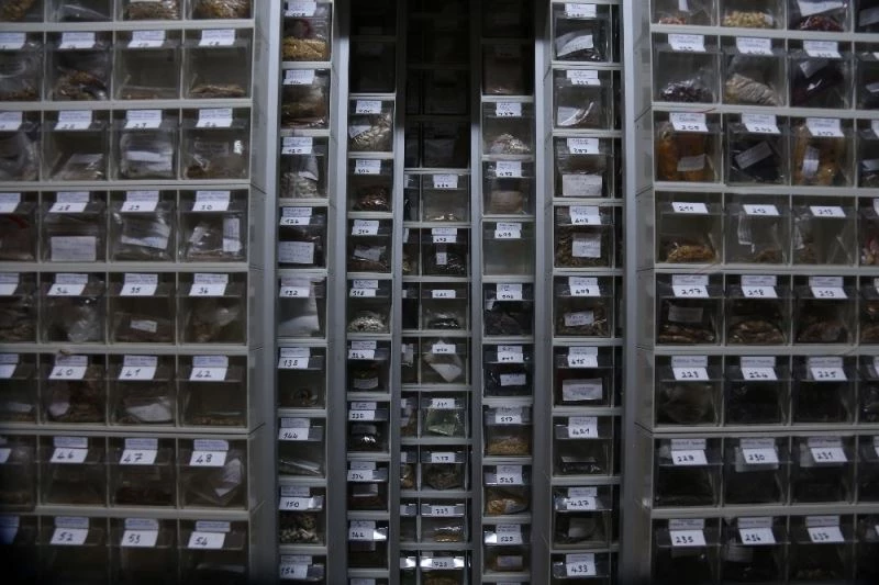 Çocukluğundan beri topladığı bin 200 çeşit yerli tohumu gelecek nesiller için saklıyor
