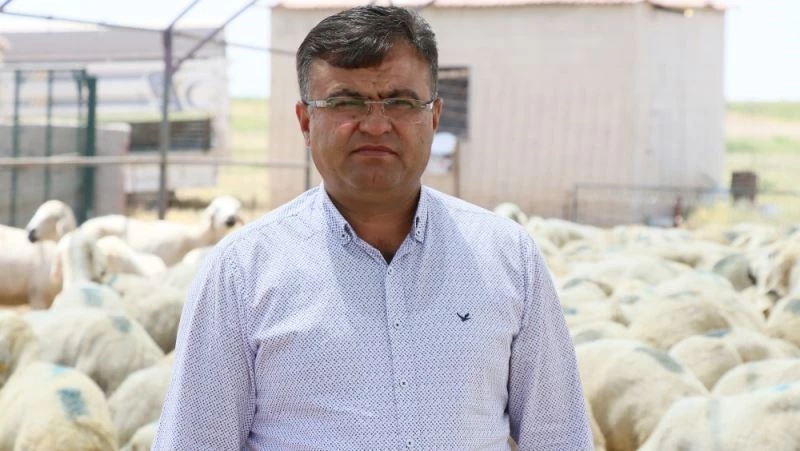 Mera alanlarının işgaline hapis cezası
