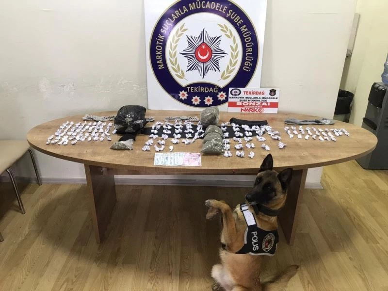 Gizlenen uyuşturucuyu Larissa buldu
