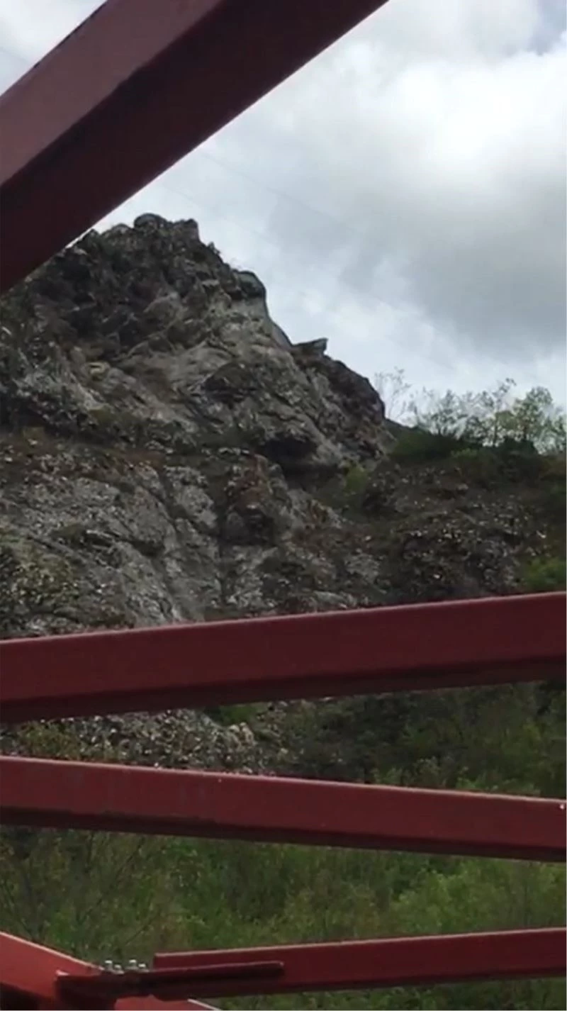 Tokat’ta karacalar yaylalara indi
