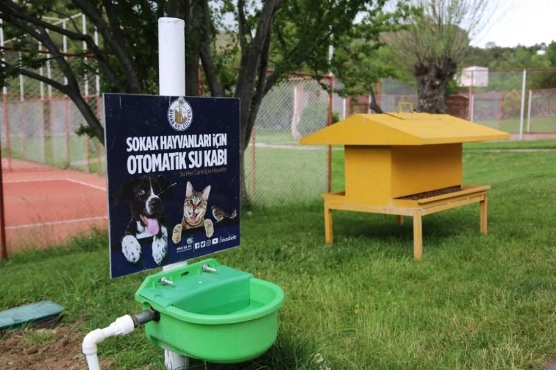 Hayvanlar susuz kalmıyor, su israf edilmiyor
