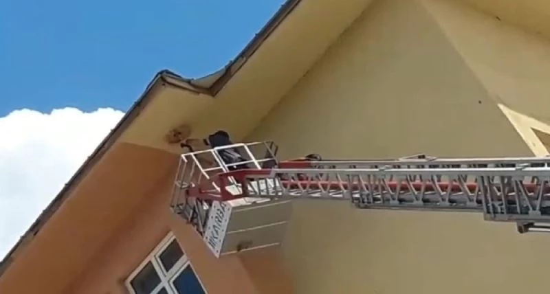 Okulun çatısında ipe dolanan karga kurtarıldı
