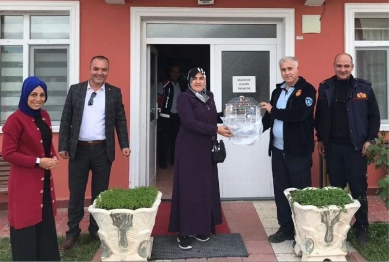 Kaybolan ‘Çapkın’ sahibine teslim edildi
