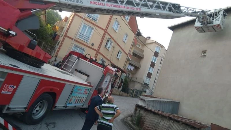 İzmit’te ipe dolanan ebabil kuşunun yardımına itfaiye koştu
