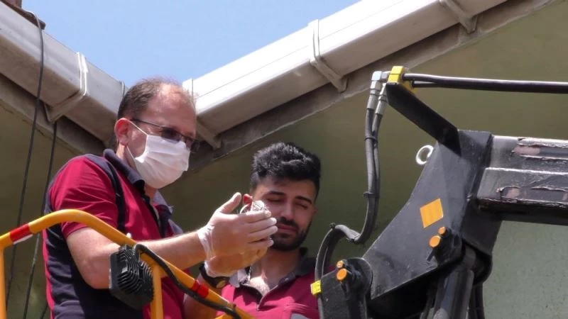 (Özel) Yavru kırlangıçlar yıkımı durdurdu
