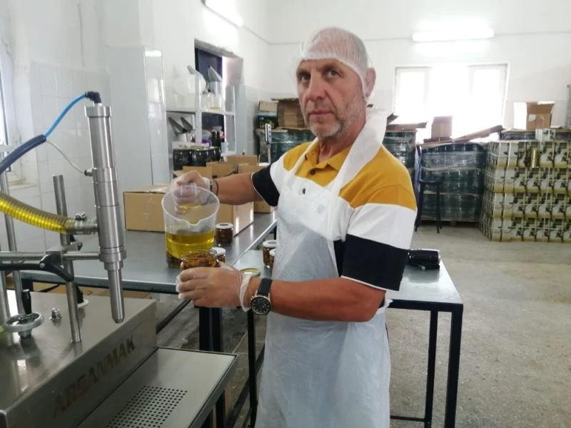 Kuzey Ege zeytini Aydın’ın inciriyle birleşti, ortaya doyumsuz bir tat çıktı
