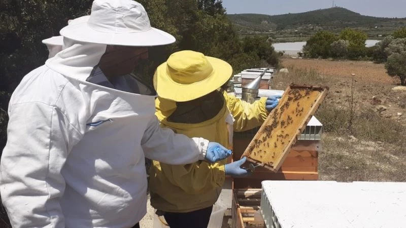 Milletvekili Bekle’den bal hasadı
