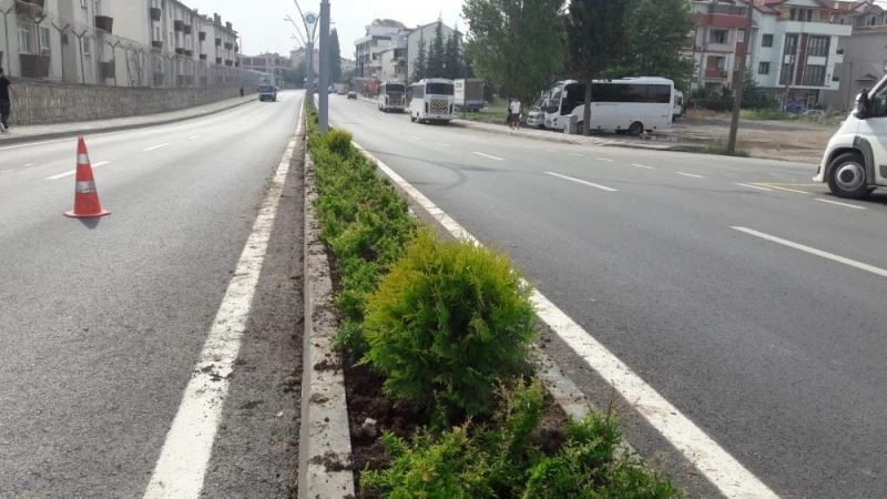 Gölcük’te yollar yeşille buluşuyor
