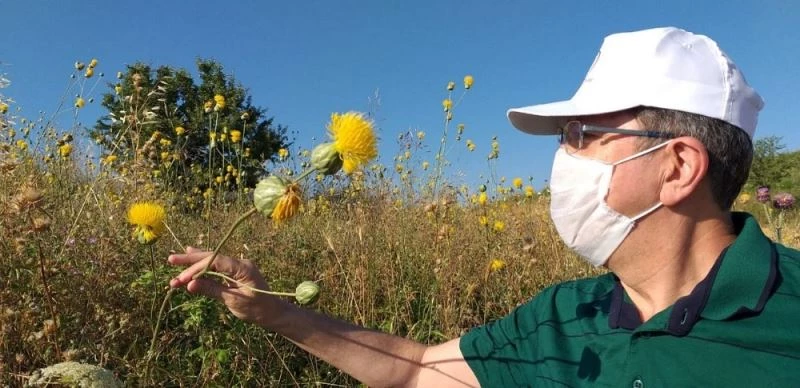 Tülüşah alanlarında inceleme yapıldı
