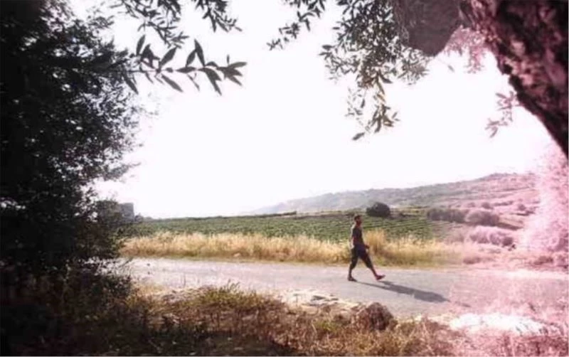 Jandarmadan fotokapanlı önlem
