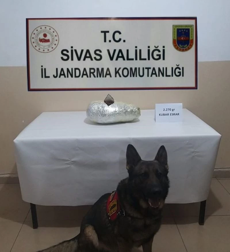 Sivas’ta 2 kilo 676 gram esrar ele geçirildi
