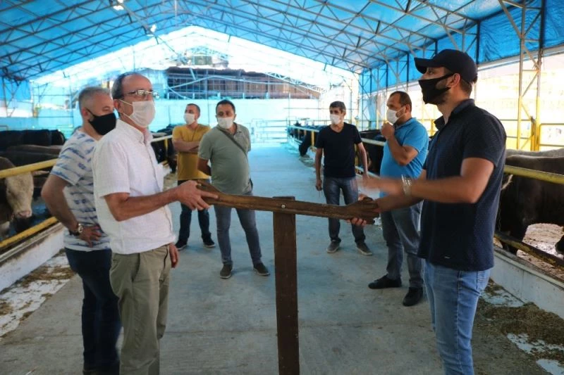 (ÖZEL) İstanbul’da kurban pazarında sosyal mesafeli pazarlık böyle görüntülendi

