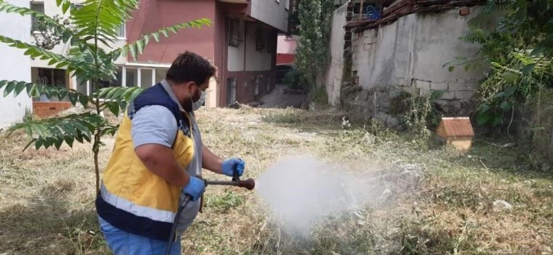 Keneye karşı tedbir amaçlı ilaçlama yapılıyor
