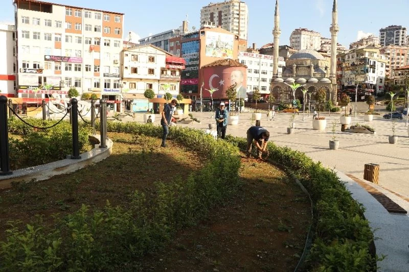 Çay üreticileri bu kez kendi çay bahçelerine değil şehir meydanındaki çay bahçesine girdiler
