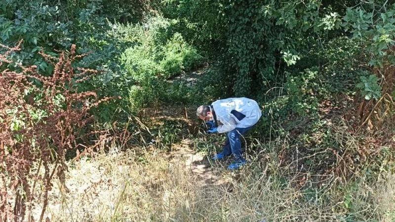 Tarlada bulunan erkek cesedinin kimliği belli oldu
