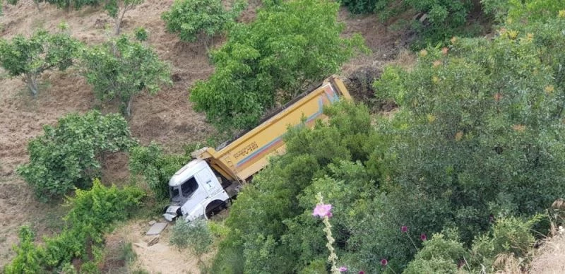 Kaplumbağanın hayatını kurtardı, aracı uçuruma yuvarlandı
