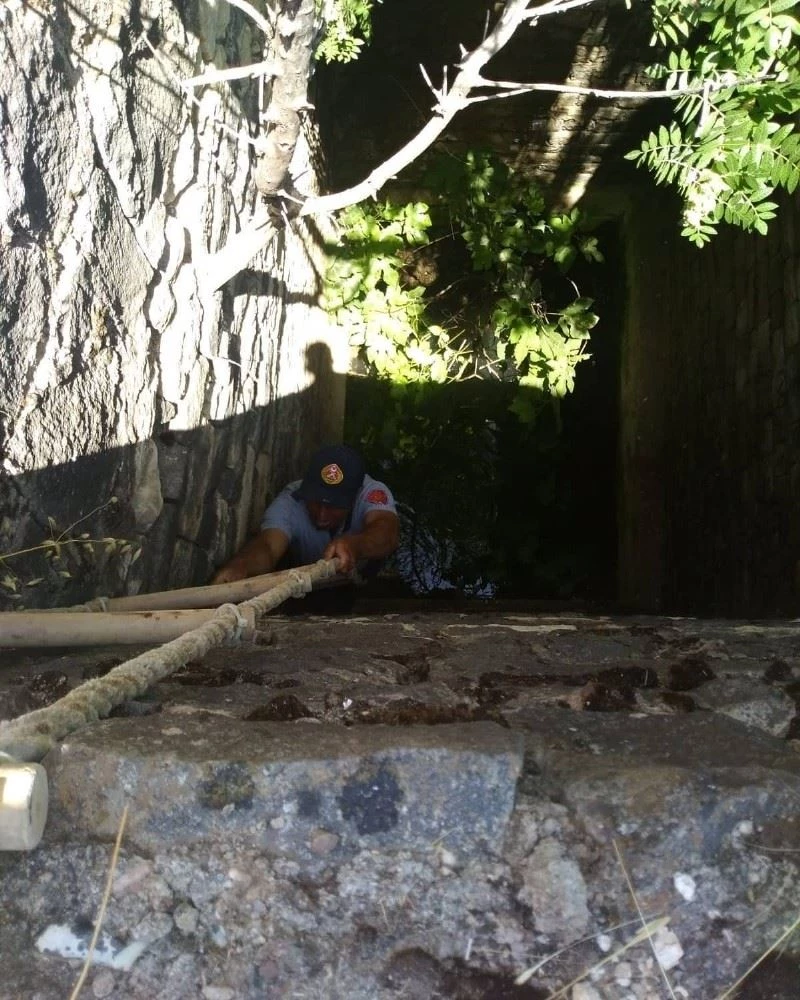 Su kuyusuna düşen oğlak kurtarıldı
