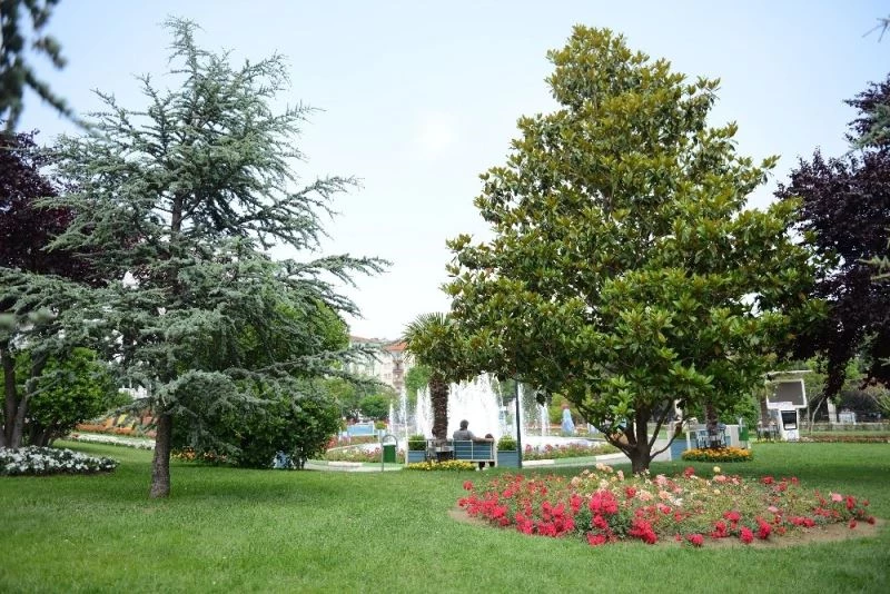 Yaz renkleri Yıldırım parklarını süslüyor
