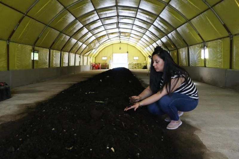 Hataylı kadın girişimci 4 milyon solucanla gübre üretiyor