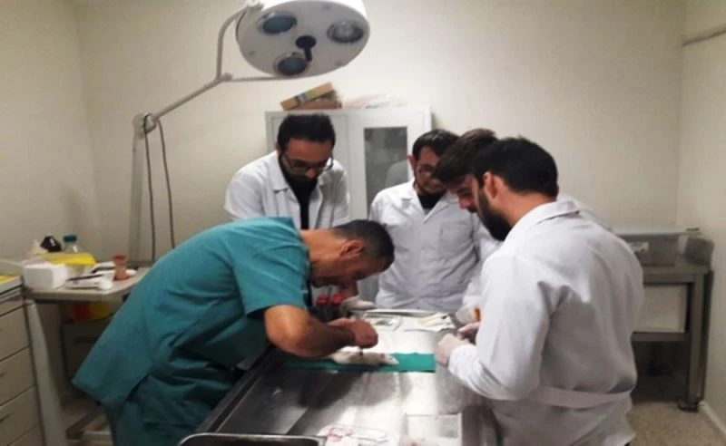 Hayvan deneyi uygulama ve araştırma merkezi faaliyetleri ile göz dolduruyor
