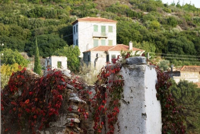 Doğanbey, taş evleri saran çiçekleri ile ayrı bir güzelliğe büründü

